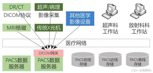 數字化醫學影像系統PACS 源碼、存儲傳輸與三維重建功能解析